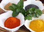 Ranger Nick's Curry Spice & Recipe Kit 1 Flavour
