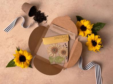 Sow 'n Sow Gift of Seeds cover