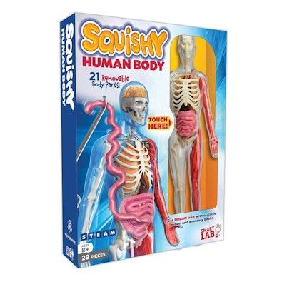 Squishy Human Body cover