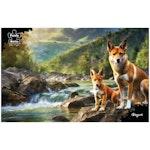 Dingoes Jigsaw Puzzle 1000 Piece