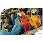 Macaws Jigsaw Puzzle thumbnail