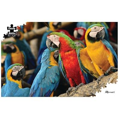 Macaws Jigsaw Puzzle cover