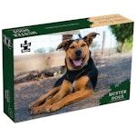 Muster Dogs Lively, Lovable Muster Dog Banjo alternate 1