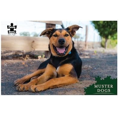 Muster Dogs Lively, Lovable Muster Dog Banjo cover