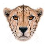 135 Piece Wooden Jigsaw Puzzle, Cheetah alternate 2