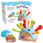 Fine Motor Skills Echidna alternate 1