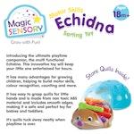 Fine Motor Skills Echidna alternate 7