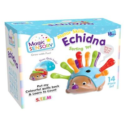 Fine Motor Skills Echidna cover