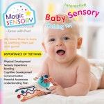 Interactive Baby Sensory Teething Toy alternate 6