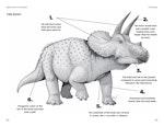 So You Think You Know About Dinosaurs? alternate 1
