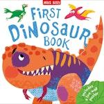 First Facts Slipcase alternate 1