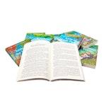 Anne Of Green Gables The Complete Collection alternate 3