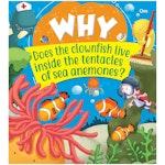 Tell Me Why? alternate 4