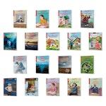 Woodpecker Independent Reader Set Level 5 alternate 2