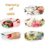 11 Pc Miniature Paint Brush Set for Acrylic & Oil alternate 5