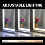 Hollywood LED Makeup Mirror,Smart Touch Control alternate 6