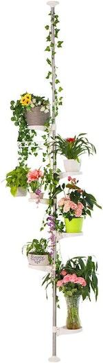 7-Layer Corner Plant Stand & Metal Display Rack thumbnail