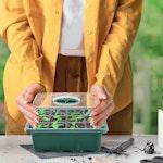 10-Pack Seed Starter Tray Kits with Dome & Base alternate 4
