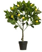 Artificial 70cm Green Lemon Tree Plant thumbnail