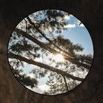 Round Black Wall Mirror, 50 cm alternate 2