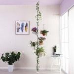 5-Tier Stainless Steel Plant Stand - Ivory alternate 1