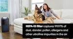 Q10 Air Purifier & Dehumidifier with HEPA Filter alternate 2