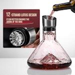 Iceberg Wine Decanter with Aerator Filter and Lid alternate 5