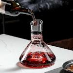 Iceberg Wine Decanter with Aerator Filter and Lid alternate 2