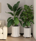 2-Pack Rolling Plant Stand with Wheels alternate 1