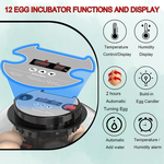 12 Egg Incubator with Automatic Turning alternate 3