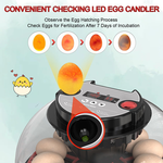 12 Egg Incubator with Automatic Turning alternate 4