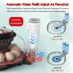 12 Egg Incubator with Automatic Turning alternate 6
