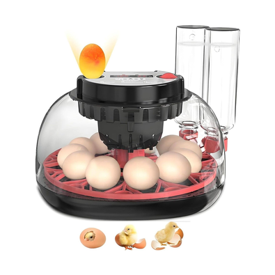 12 Egg Incubator with Automatic Turning cover