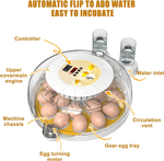 18 Egg Incubator with Automatic Turning alternate 1