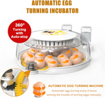18 Egg Incubator with Automatic Turning alternate 4