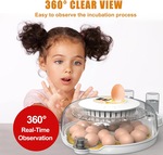 18 Egg Incubator with Automatic Turning alternate 5