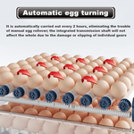 128 Egg Incubator with Automatic Turning alternate 1