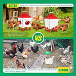 Automatic Chicken Feeder Waterer Set alternate 2