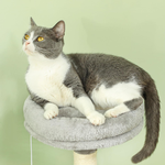 Large Cat Tree Tower with Plush Perch alternate 4
