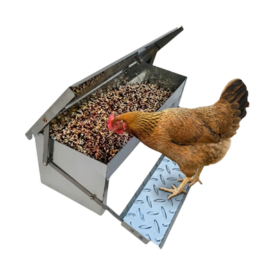 Automatic Treadle Chicken Feeder - Grey cover