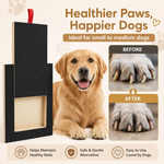 Dog Nail Scratch Board with Snack Box alternate 3