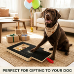 Dog Nail Scratch Board with Snack Box alternate 7