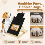 Dog Nail Scratch Board - Height Adjustable alternate 1