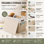 Large Foldable Toy Storage Box with Lid - Beige alternate 6