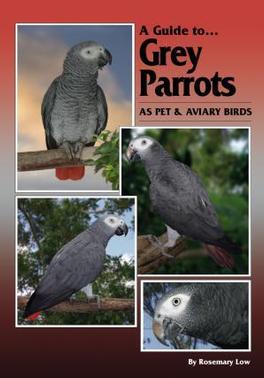 A Guide to Grey Parrots Hard Cover cover