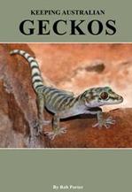 Keeping Australian Geckos