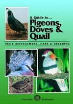 A Guide to Pigeons, Doves & Quail
