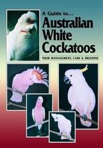 A Guide to Australian White Cockatoos