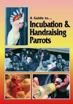 A Guide to Incubation & Handraising Parrots