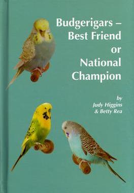 Budgerigars - Best Friend or National Champion cover